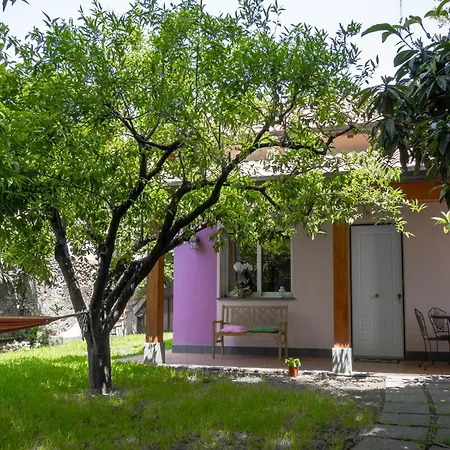 Giardino Carya - Centro * 기아레