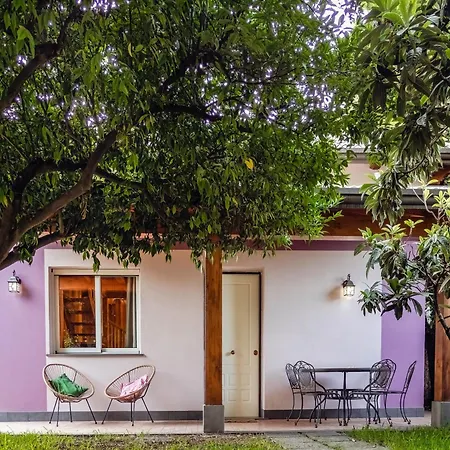 Giardino Carya - Centro בקתה