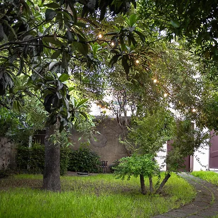 Giardino Carya - Centro ג'יארה