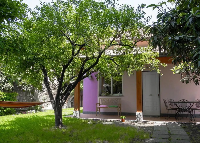 Giardino Carya - Centro * ג'יארה